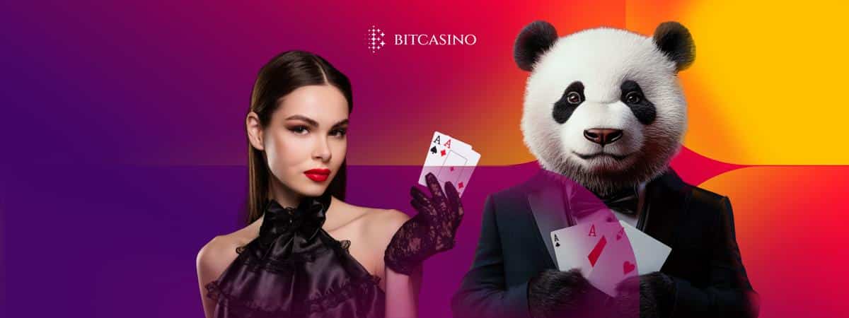 Beyond the main game: Exploring baccarat side bets